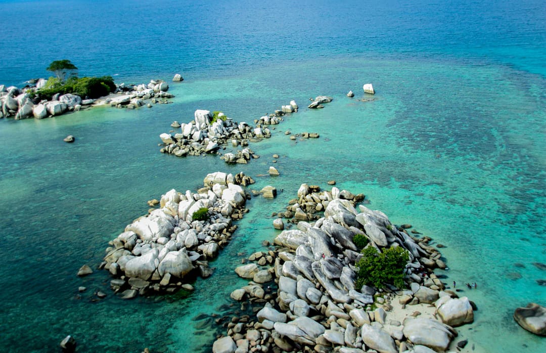 open trip recomended 2019